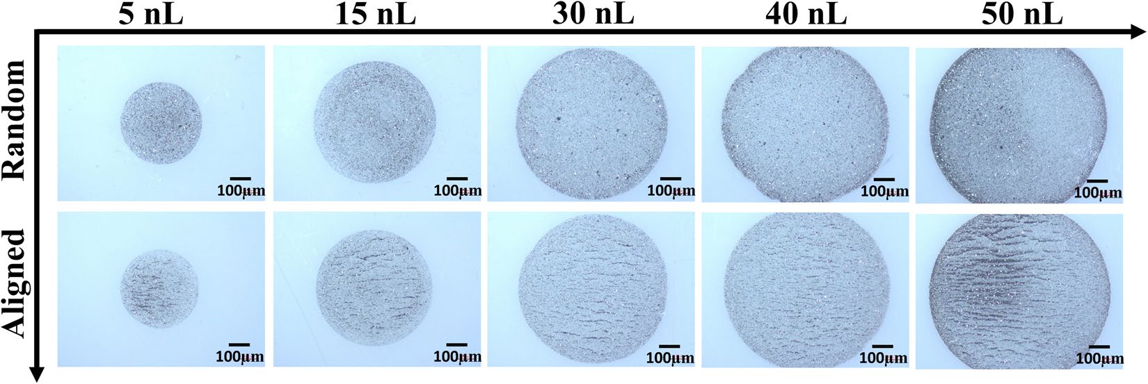 Inkjet_Printing_of_Magnetic_Particles_Toward_Aniso.jpg
