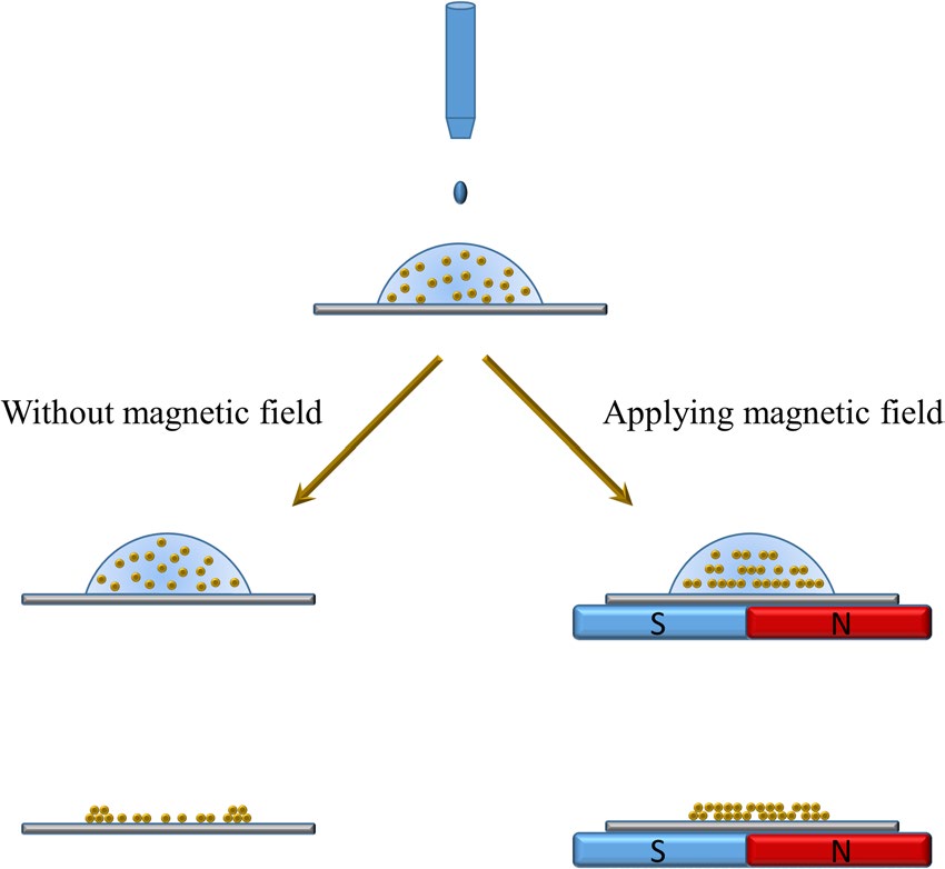 Inkjet_Printing_of_Magnetic_Particles_Toward_Aniso3.jpg