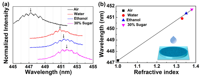 polymers-12-006565_副本.jpg