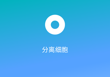 单细胞分离