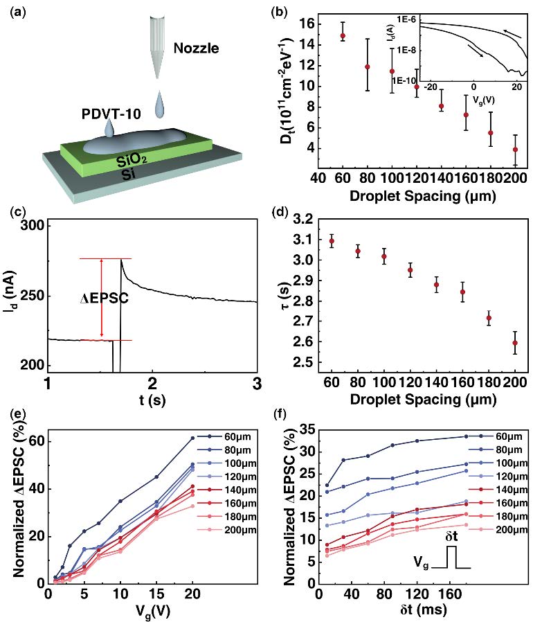 Printed Organic Synaptic Transistor Array for One-to-Many Neural Response2.jpg