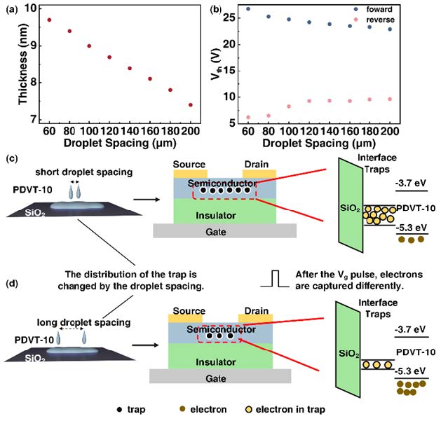 Printed Organic Synaptic Transistor Array for One-to-Many Neural Response4.jpg