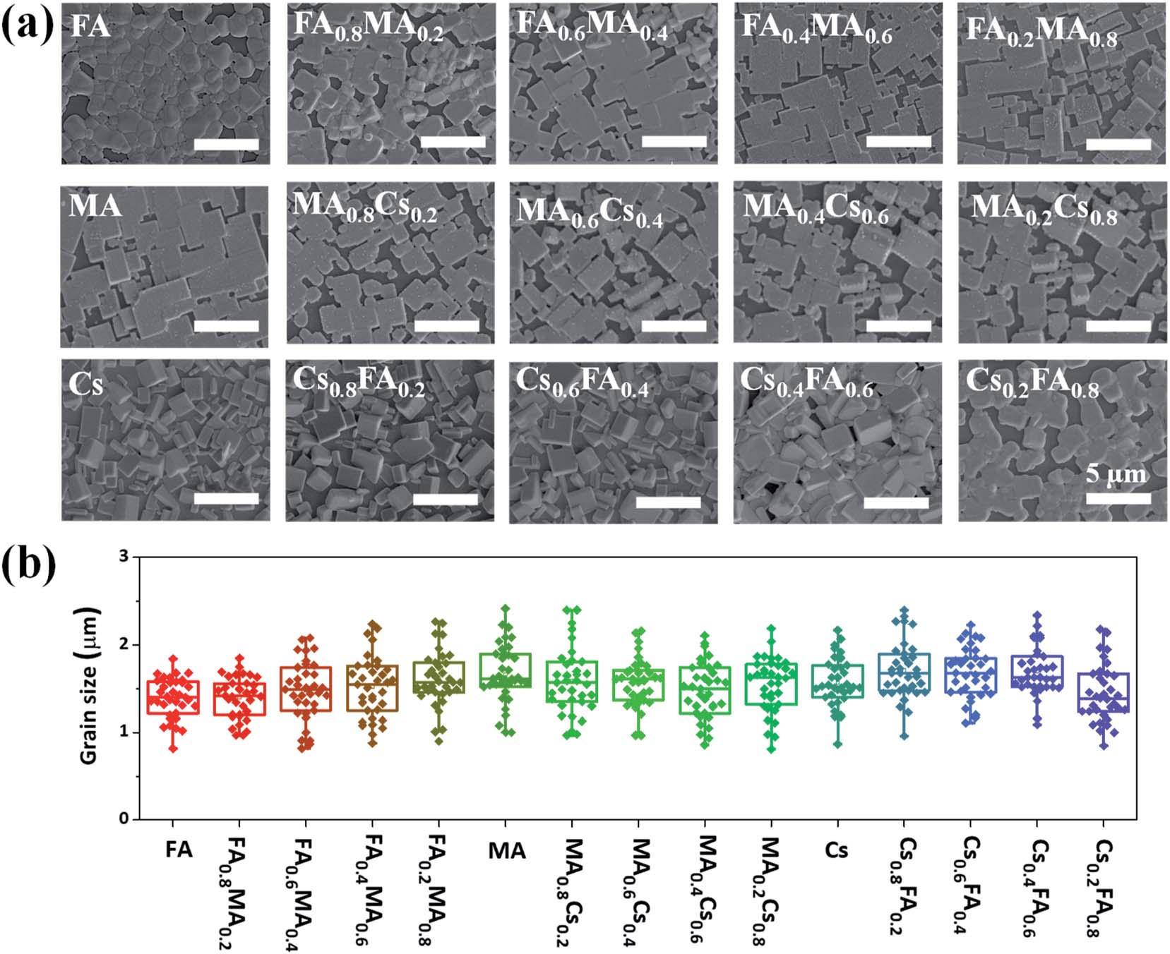 20230823-major-High throughput screening of novel tribromide3.jpg