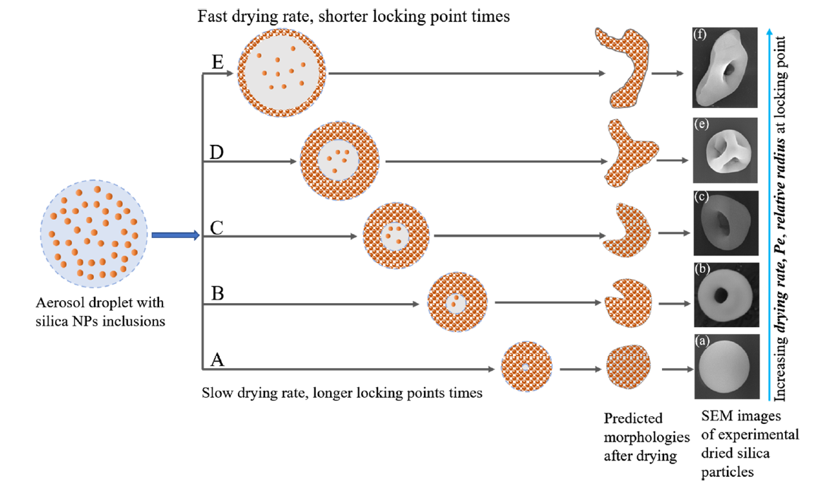 D5F981DE-5A98-4de8-8F43-254.png